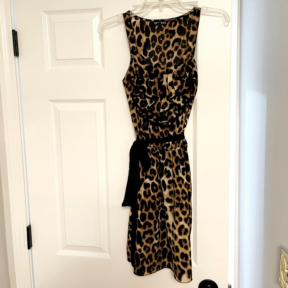 Express Cheetah Dress